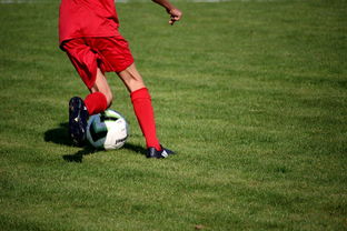 九游下载安装-篮球运动员心理韧性提升及干预体系建设，篮球运动员的心理训练